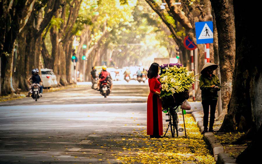 Hanoi Old Quarter - autumn in hanoi